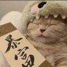 user1747712309611561