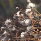 user1747878911902893